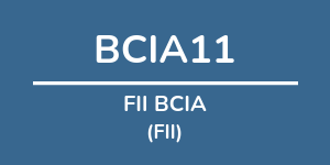 Logo do fundo: FII BCIA Logo do fundo FII BCIA