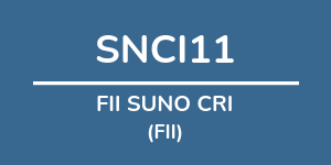 Logo do fundo: FII SUNO CRI Logo do fundo FII SUNO CRI